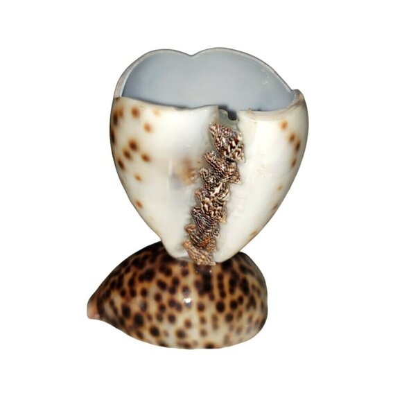 Vintage Cowrie Shell Toothpick Holder Beach House Decor Souviner Collectible - Picture 2 of 9